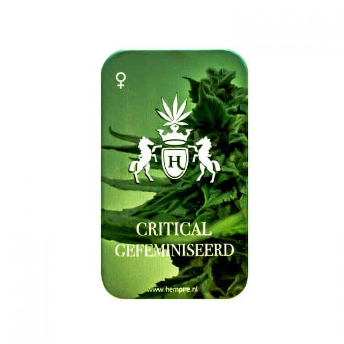 Critical - Afbeelding 2