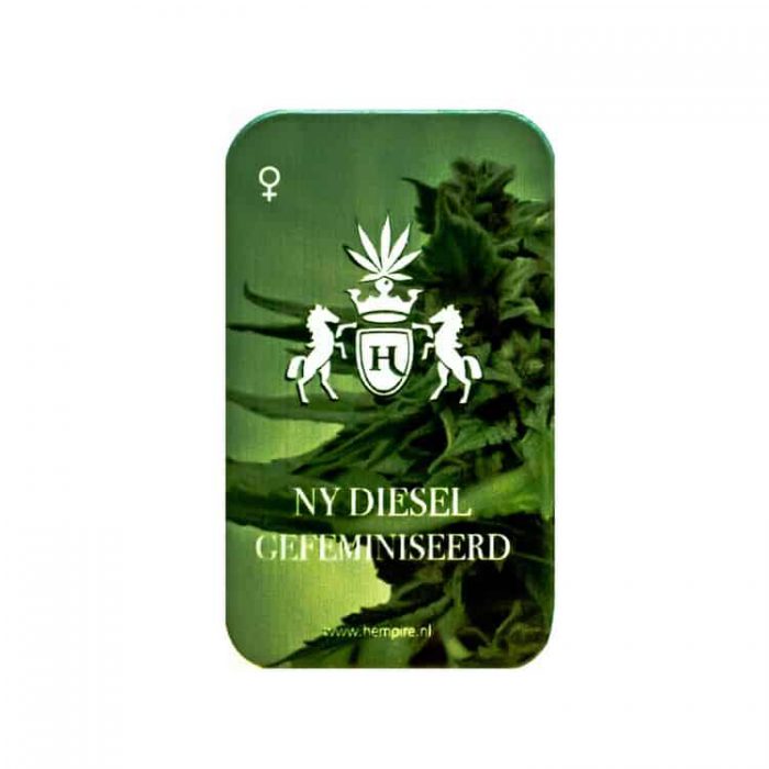 NY Diesel - Afbeelding 2