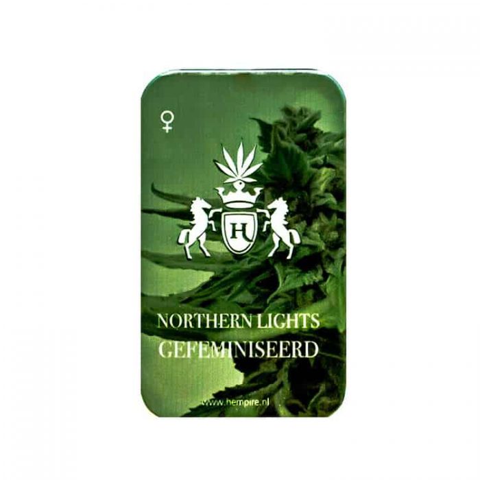 Northern Lights - Afbeelding 2