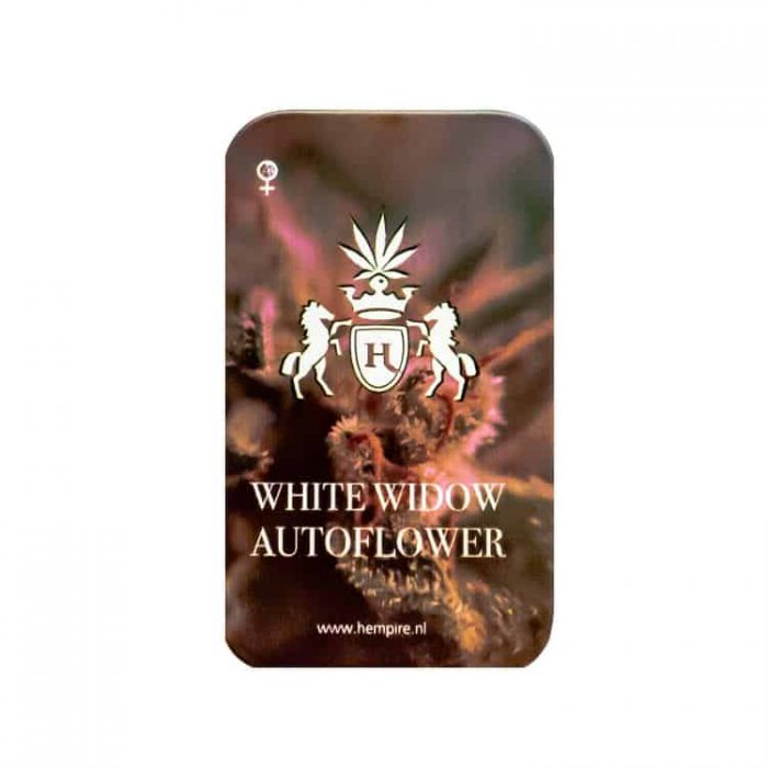 White Widow autoflower - Afbeelding 2