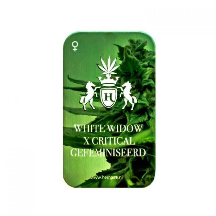White Widow x Critical - Afbeelding 2