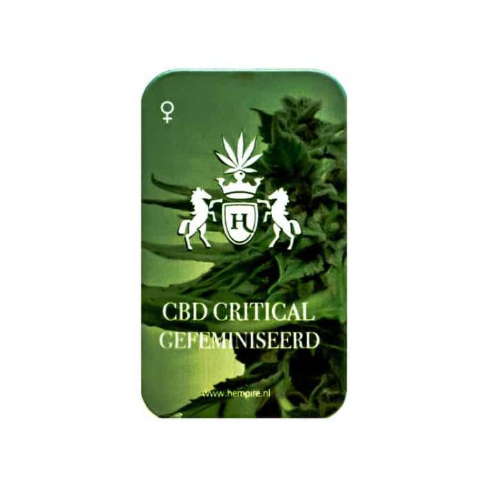 CBD Critical - Afbeelding 2