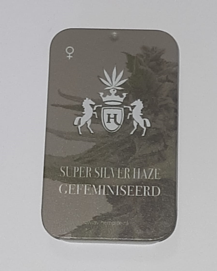 Super Silver Haze - Afbeelding 2